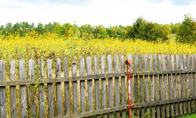 Enhancing security and elegance: Fencing solutions for gardens in Oldham and Rochdale